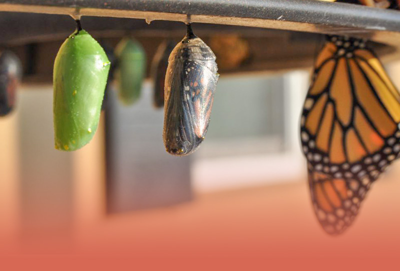 Listening to the creative force