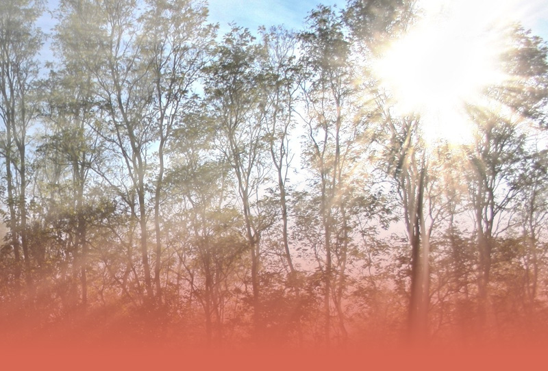 Finding hope in everyday moments