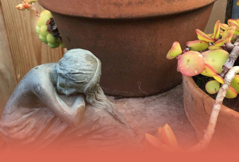 Planting a new garden!