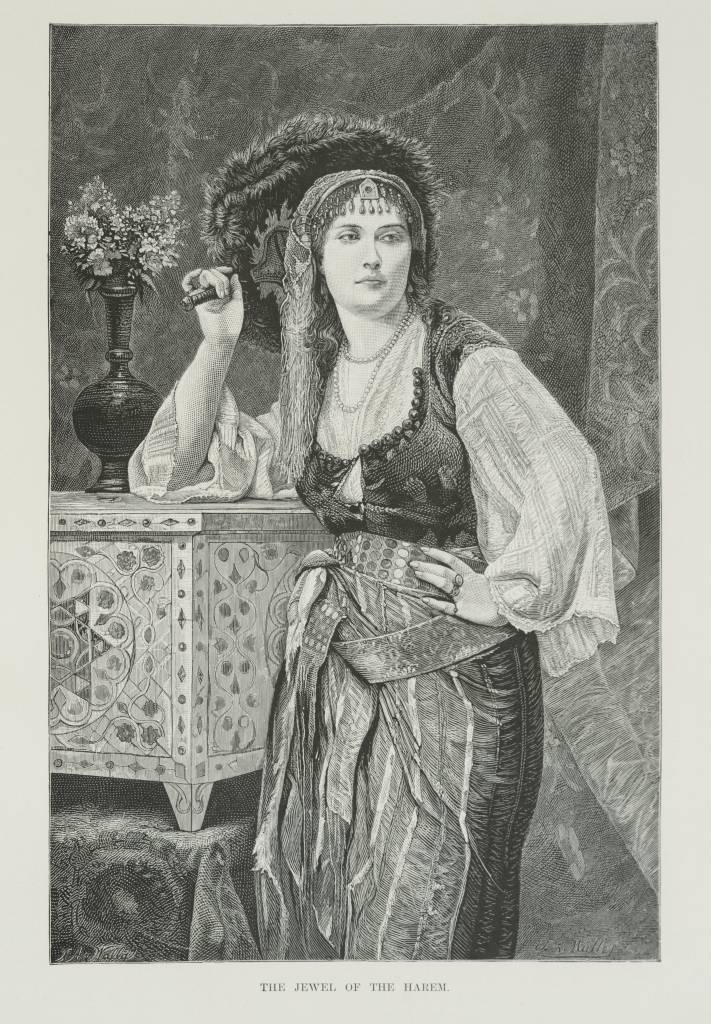 Illustration from "Egypt: Descriptive, Historical, and Picturesque, Volume 1" - The Jewel of the Harem by Georg Ebers (1878)