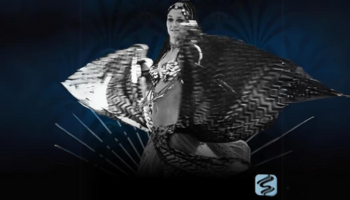 Veil Work, Floor Work, Turkish Drop